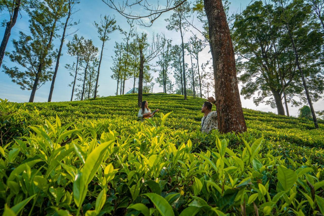 Zostel Plus Wayanad Kalpetta Exteriör bild